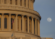 Government